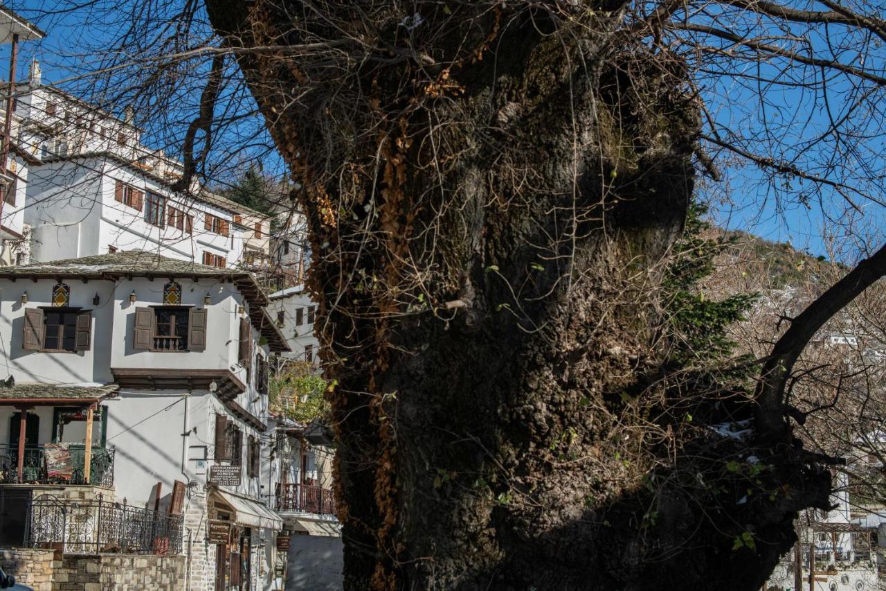 Philos Guesthouse Makrinítsa Dış mekan fotoğraf